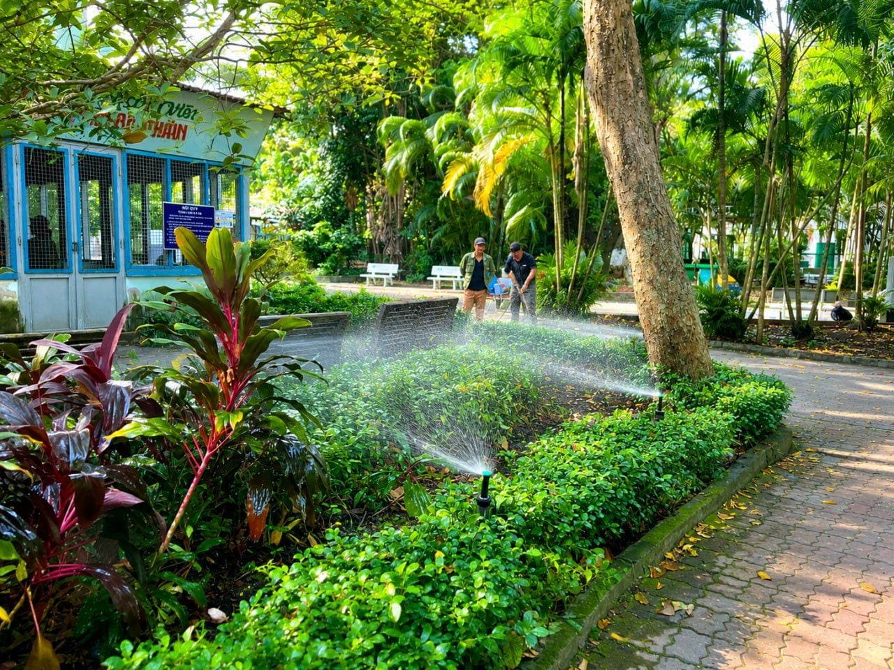 Hệ Thống Tưới Cảnh Quan Thảo Cầm Viên Sài Gòn | IGreen