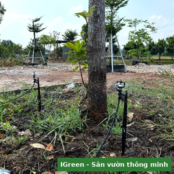 Toàn cảnh khu nghỉ dưỡng mini 2ha Tây Ninh sau khi hệ thống tưới tự động vận hành – IGreenDecor