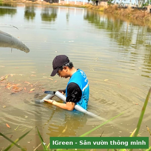 Chạy thử từng zone kiểm tra áp lực và vùng phủ béc tưới khu nghỉ dưỡng Tây Ninh