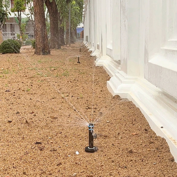 Hiện trạng cảnh quan siêu biệt thự 5000m² 5 tầng Bến Tre trước khi lắp hệ thống tưới KRain – IGreenDecor