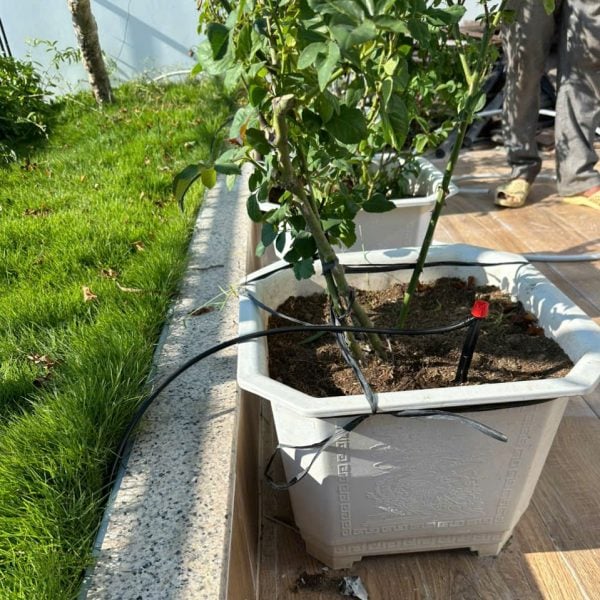 Lắp béc tưới 8 tia Percent ban công nhà phố Nha Trang