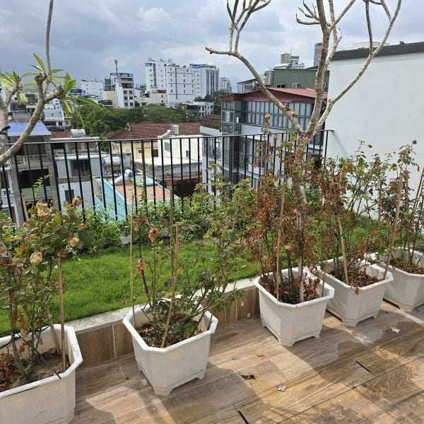 Hiện trạng ban công nhà phố 7 tầng Nha Trang trước khi lắp hệ thống tưới tự động IGreen