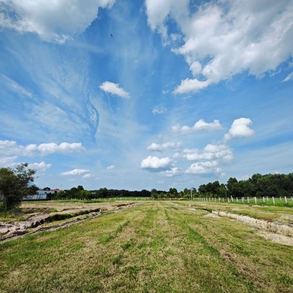 Hiện trạng khu đất 20.000m2 Bình Quyên Tây Ninh trước khi lắp hệ thống tưới cảnh quan kết hợp nông nghiệp – IGreenDecor