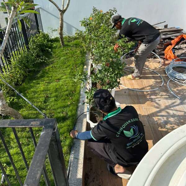 Chạy thử hệ thống tưới tự động nhà phố Nha Trang
