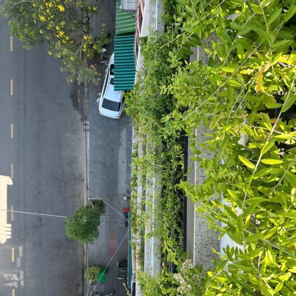 Toàn cảnh hệ thống tưới tự động hoàn thiện nhà phố 7 tầng Nha Trang