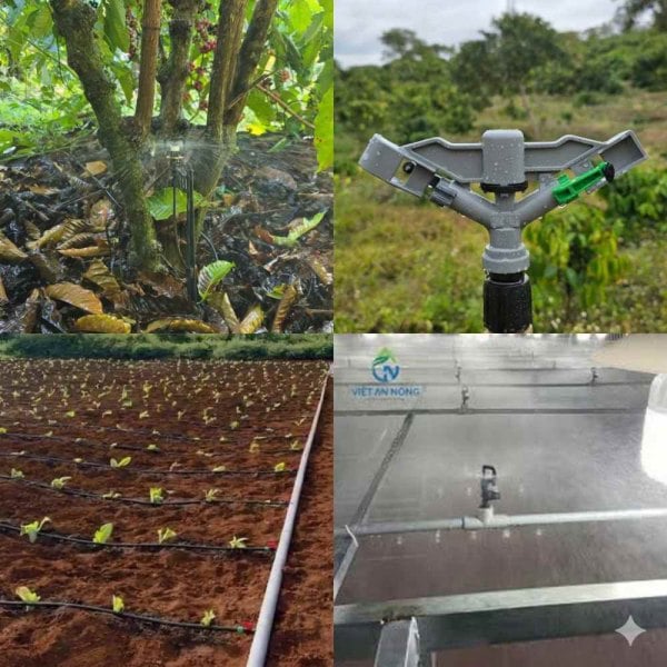 Hệ thống béc tưới nông nghiệp tự động tại Tây Nguyên – IGreen