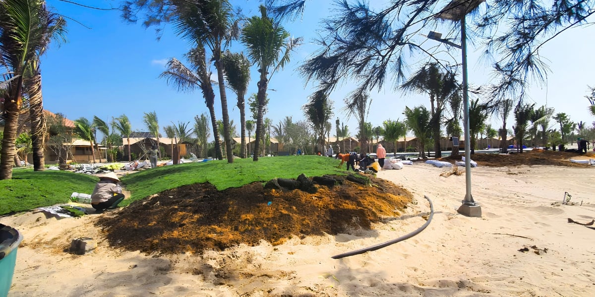 Khu thảm cỏ resort Mũi Kê Gà Phan Thiết cần lắp vòi phun tưới cảnh quan Krain