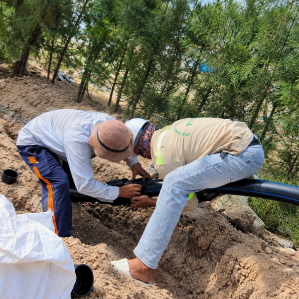Đào lắp ống LDPE trục chính hệ thống tưới cảnh quan Krain resort Mũi Kê Gà Phan Thiết – IGreenDecor