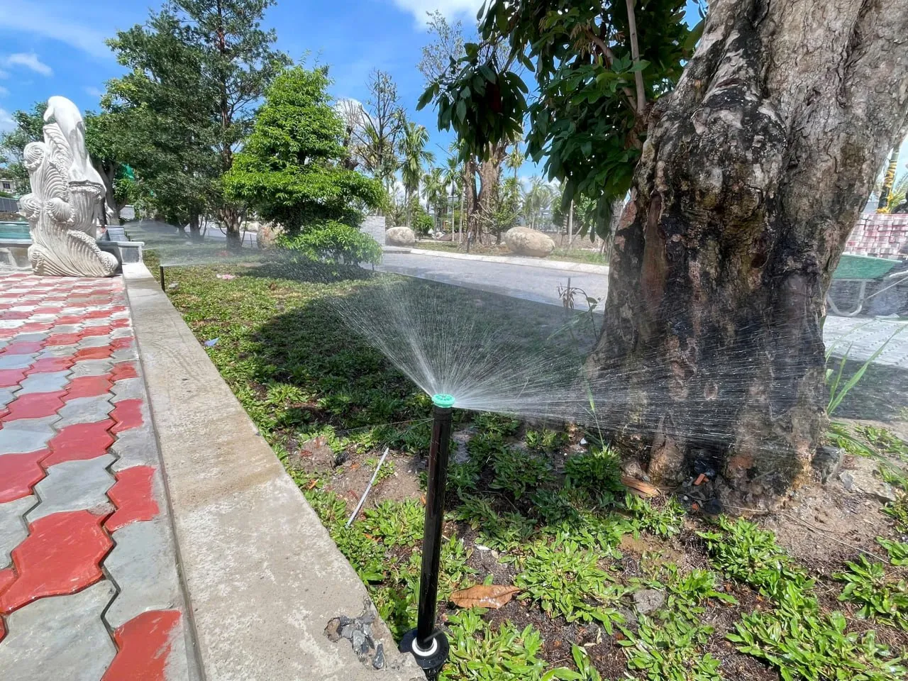 Kiểm tra nghiệm thu béc tưới gốc tại công trình IGreen
