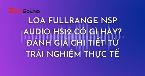 Loa Fullrange NSP Audio HS12 Có Gì Hay? Đánh Giá Chi Tiết Từ Trải Nghiệm Thực Tế
