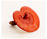 Tác dụng của Nấm Linh Chi đối với sức khỏe và sắc đẹp