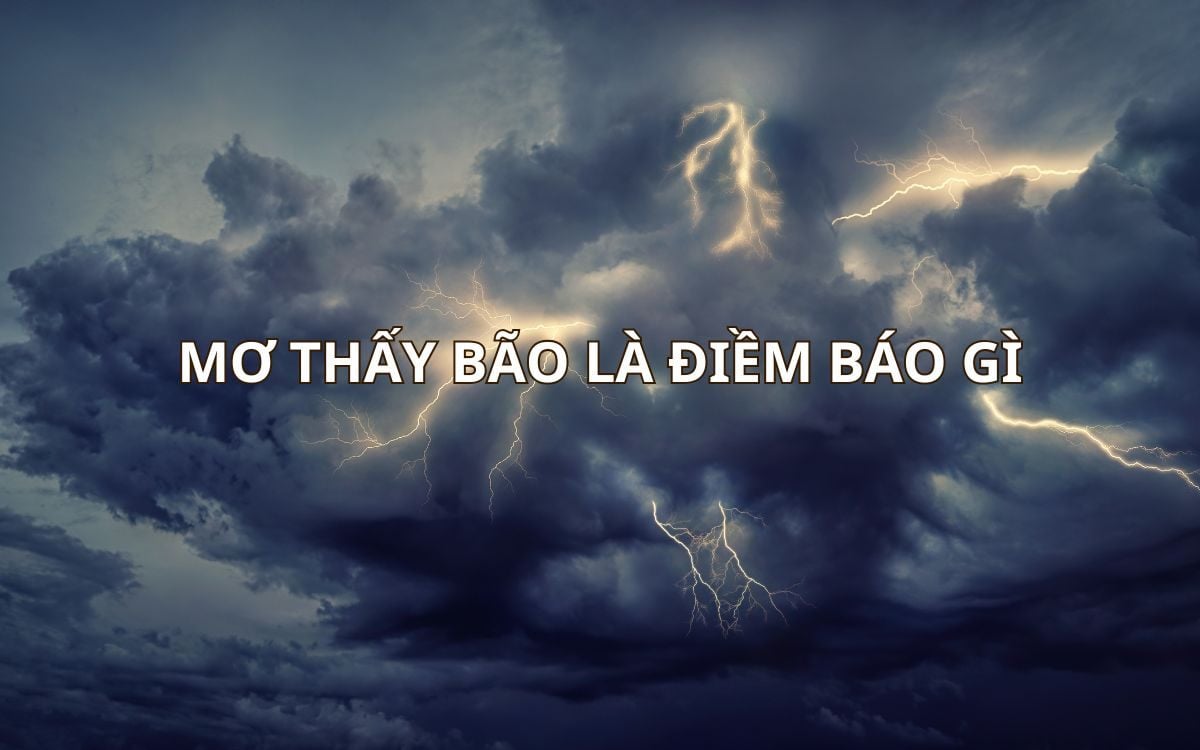 Mơ thấy bão là điềm gì? Giải mã chi tiết giấc mơ về bão và lời khuyên phong thủy