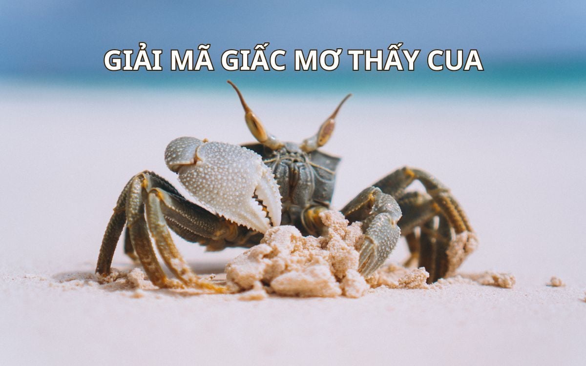 Giải mã giấc mơ thấy cua và những con số may mắn liên quan