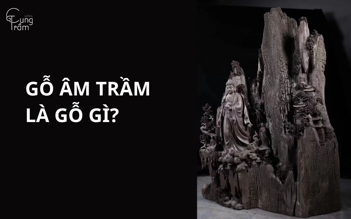 Gỗ Âm Trầm là gỗ gì? Đặc điểm, công dụng & mức giá tham khảo
