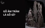 Gỗ Âm Trầm là gỗ gì? Đặc điểm, công dụng & mức giá tham khảo