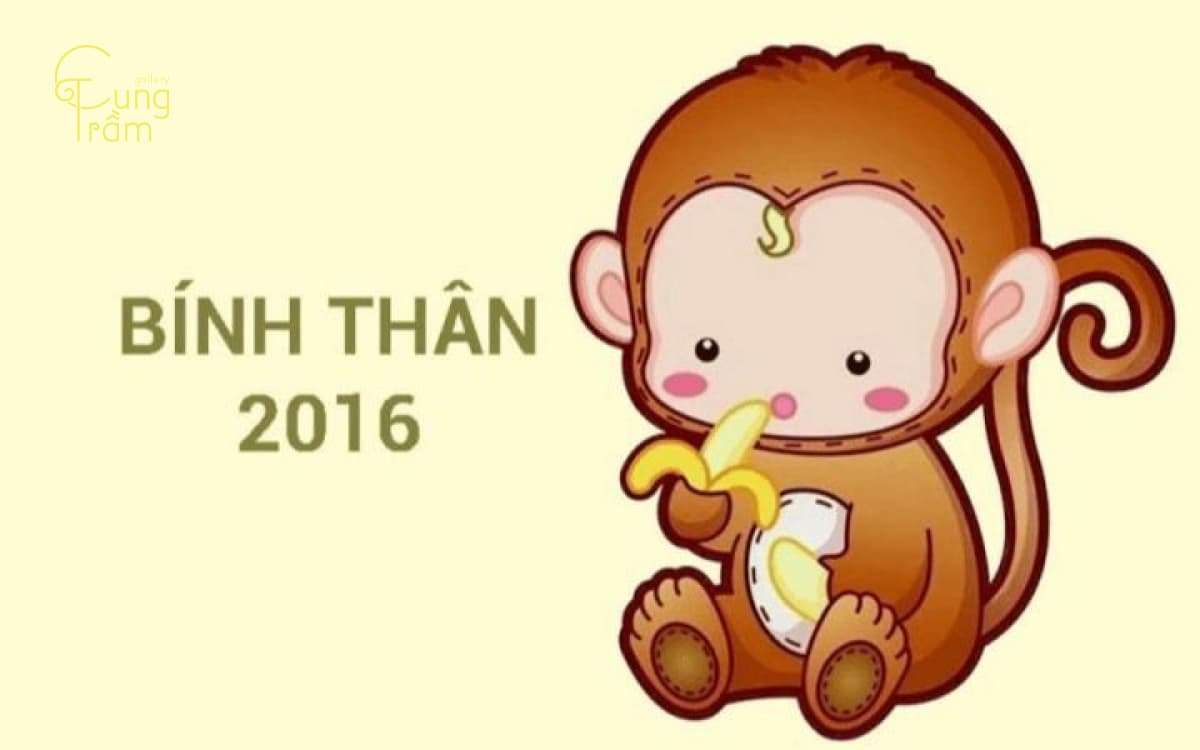 Sinh năm 2016 mệnh gì hợp màu gì? Tất tần tật về tuổi Bính Thân