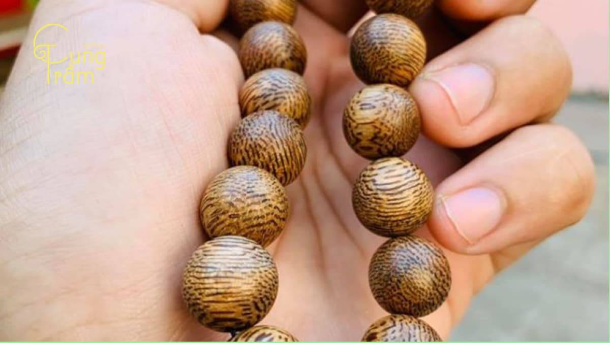 Trầm Banh Lào là gì? Cách nhận biết và giá trị của gỗ Trầm Hương Lào