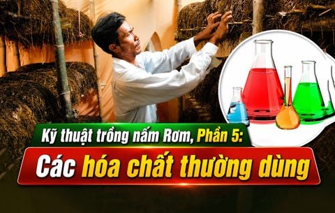 Trồng Nấm Rơm Năng Suất Cao, Phần 5: Các Loại Hóa Chất Thường Dùng