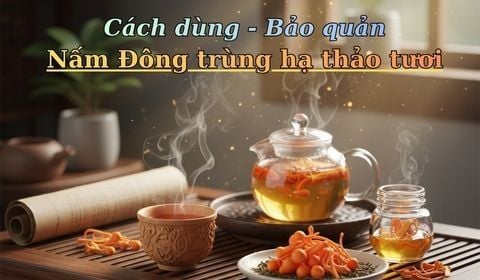 Bí Quyết Lưu Giữ 99% Dược Tính Của Đông Trùng Hạ Thảo Tươi