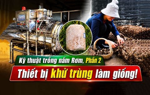 Trồng Nấm Rơm Năng Suất Cao, Phần 2: Thiết bị khử trùng làm giống