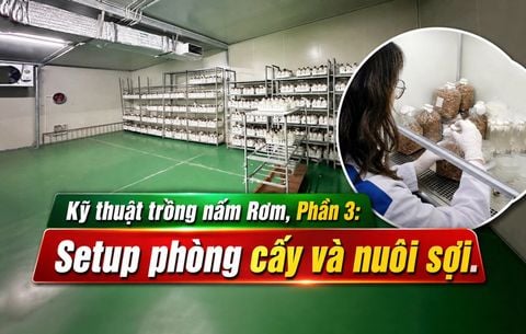 Trồng Nấm Rơm Năng Suất Cao, Phần 3: Cơ sở vật chất cấy giống và nuôi sợi