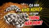 Trồng Nấm Rơm Có Dễ Không? Ai Nên Khởi Nghiệp Trồng Nấm Rơm?