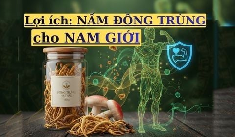 Nấm Đông Trùng: Bí Kíp Tăng Testosterone và Ham Muốn Tình Dục Tự Nhiên