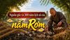 Nguồn Gốc Nấm Rơm Và Lịch Sử 300 Năm Phát Triển Phương Pháp Trồng