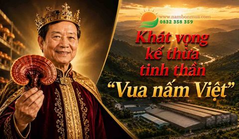 Nấm Bốn Mùa Và Khát Vọng Kế Thừa Tinh Thần “Vua Nấm Việt”