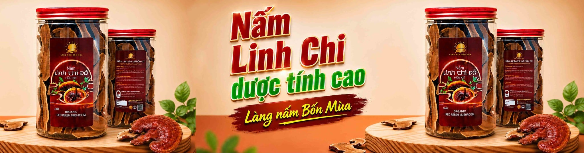 Nấm Linh Chi Cao Cấp - Không Pha Trộn, Không Trung Gian, Giá Tận Gốc