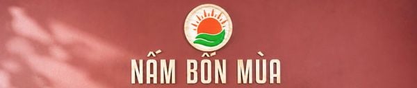 San pham nam Linh Chi duoc tinh cao Nghe An cua Lang nam Bon Mua.