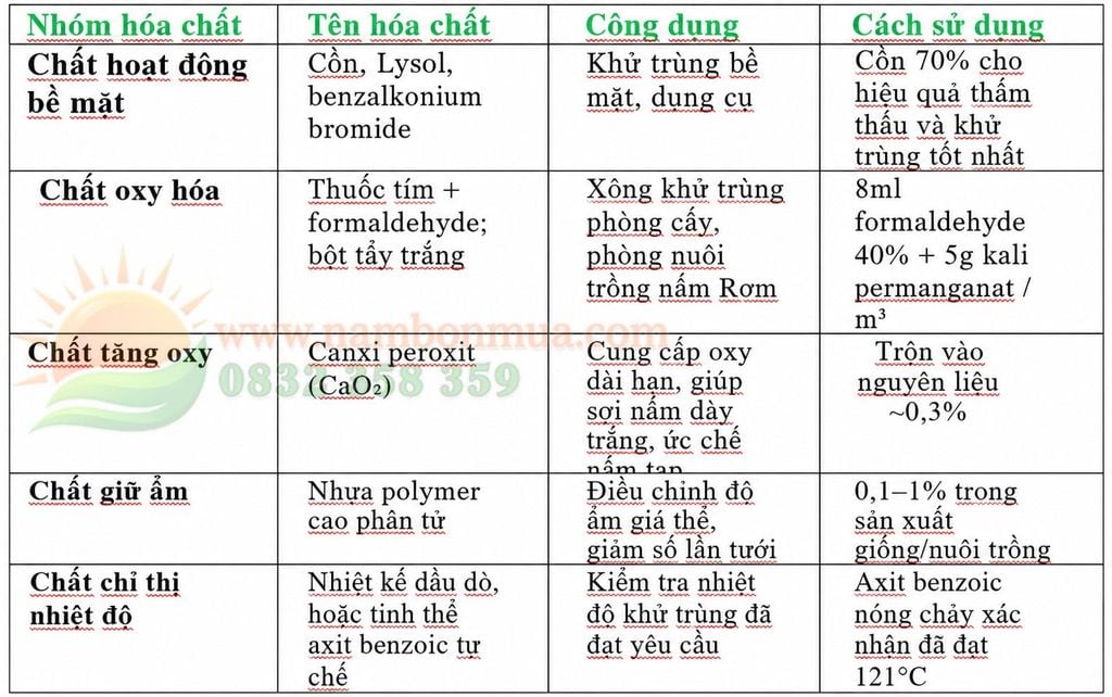 Hoa chat su dung cho trong nam Rom nang suat cao.