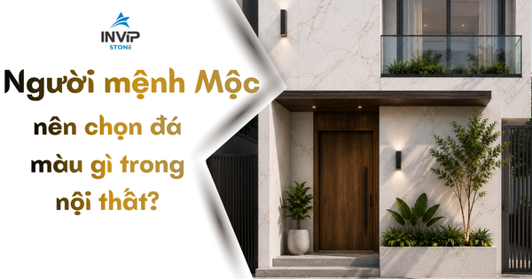 Người mệnh Mộc hợp đá nội thất màu gì?