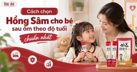 Cách Chọn Hồng Sâm Cho Bé Sau Ốm Theo Độ Tuổi Chuẩn Nhất