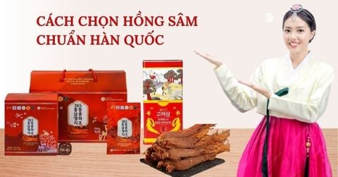 Cách Chọn Hồng Sâm Chuẩn Hàn Quốc - 5 Mẹo Để Tránh Mua Phải Hàng Giả