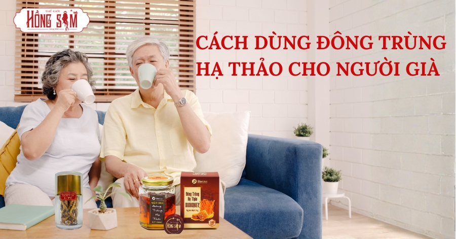 Cách Dùng Đông Trùng Hạ Thảo Cho Người Già An Toàn, Hiệu Quả