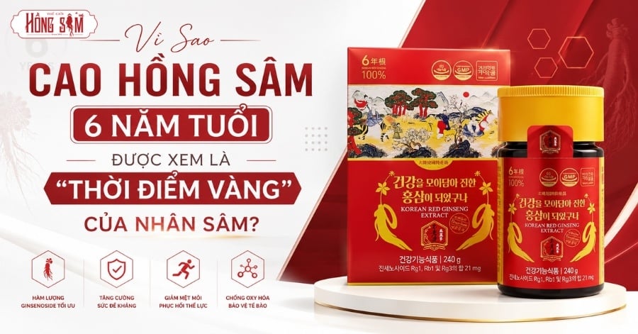 Vì Sao Cao Hồng Sâm 6 Năm Tuổi Được Xem Là “Thời Điểm Vàng” Của Nhân Sâm?