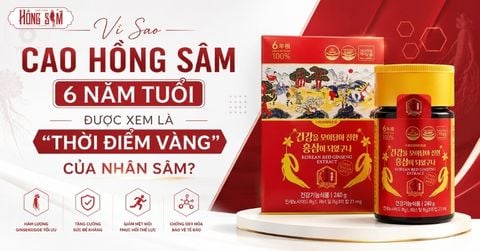 Vì Sao Cao Hồng Sâm 6 Năm Tuổi Được Xem Là “Thời Điểm Vàng” Của Nhân Sâm?