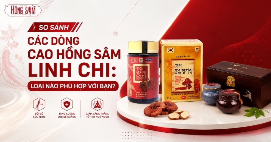 So Sánh Các Dòng Cao Hồng Sâm Linh Chi: Loại Nào Phù Hợp Với Bạn?