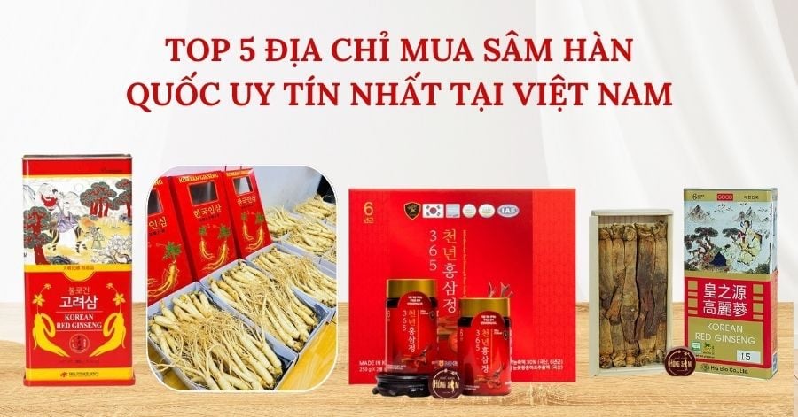5 Địa Chỉ Mua Sâm Hàn Quốc Uy Tín Nhất Tại Việt Nam [Cập Nhật 2026]