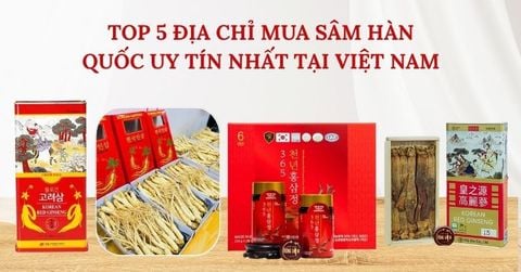5 Địa Chỉ Mua Sâm Hàn Quốc Uy Tín Nhất Tại Việt Nam [Cập Nhật 2025]