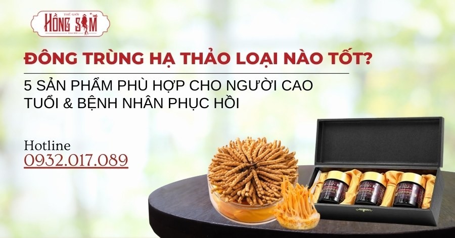 Đông Trùng Hạ Thảo Loại Nào Tốt? 5 Sản Phẩm Phù Hợp Cho Người Cao Tuổi & Bệnh Nhân Phục Hồi