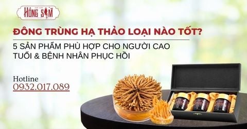 Đông Trùng Hạ Thảo Loại Nào Tốt? 5 Sản Phẩm Phù Hợp Cho Người Cao Tuổi & Bệnh Nhân Phục Hồi