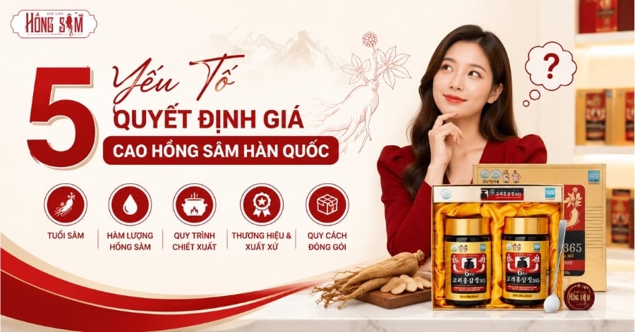 5 Yếu Tố Quyết Định Giá Cao Hồng Sâm Hàn Quốc