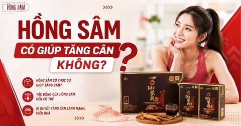 Hồng Sâm có giúp tăng cân không? Giải đáp chi tiết