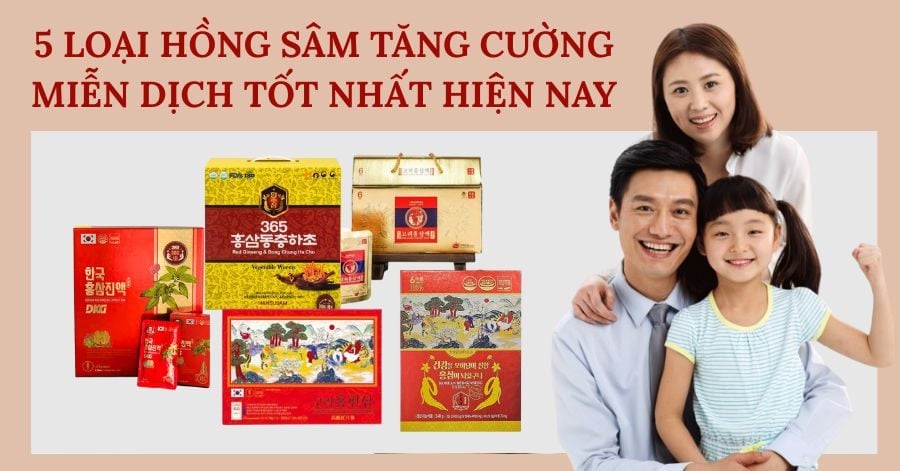 5 Loại Hồng Sâm Tăng Cường Miễn Dịch Tốt Nhất Hiện Nay