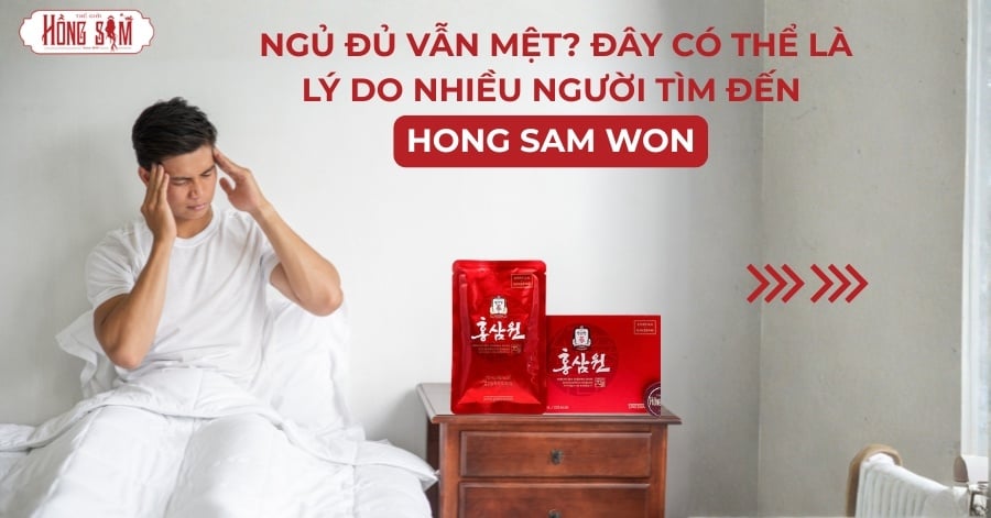 Ngủ Đủ Vẫn Mệt? Đây Có Thể Là Lý Do Nhiều Người Tìm Đến Hồng Sâm Won