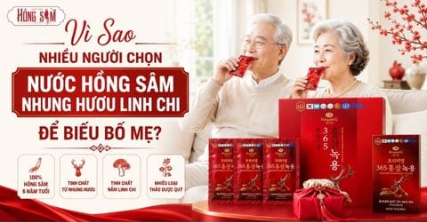 Vì Sao Nhiều Người Chọn Nước Hồng Sâm Nhung Hươu Linh Chi Để Biếu Bố Mẹ?
