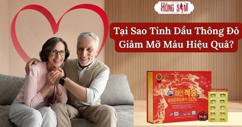 Tại Sao Tinh Dầu Thông Đỏ Giảm Mỡ Máu Hiệu Quả?