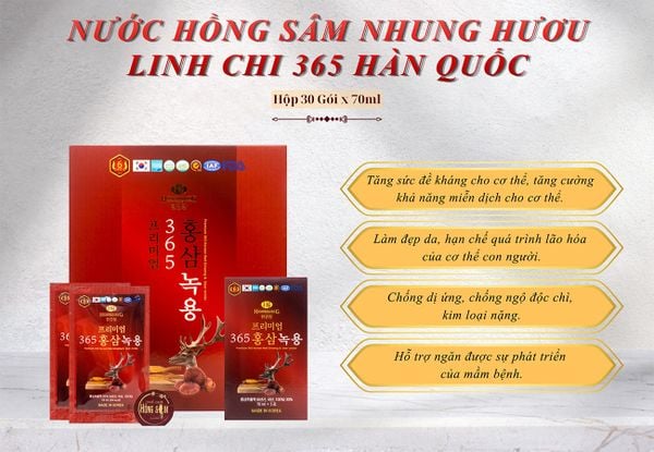 Hình ảnh bài viết